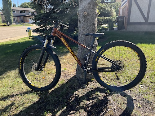 Used youth mountain bikes hotsell for sale