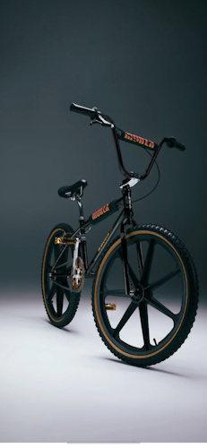 2020 Lairdframe BMX/ jump bike For Sale