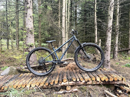 You can't beat a good hardtail... 

The Cotic BFe Max. A 29'er steel hardtail for trail hooliganisms!