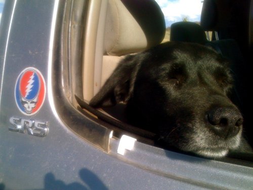 Nap time