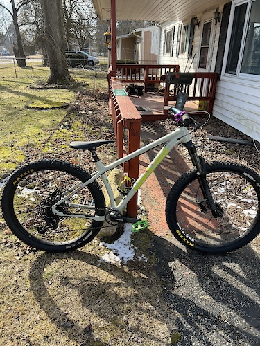 Santa cruz best sale chameleon used