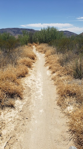 Fresno-Sauceda Loop