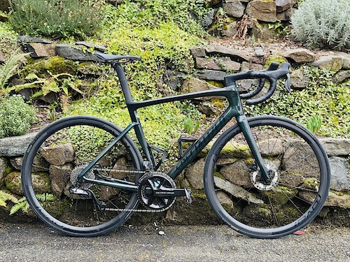 S-WORKS Tarmac 140mm 54cm リム F49GB