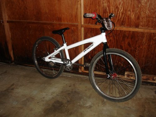 Dk fury bmx online