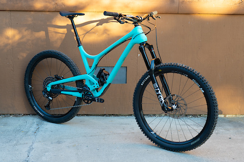 2022 Evil Calling Angry Dolphin Large For Sale