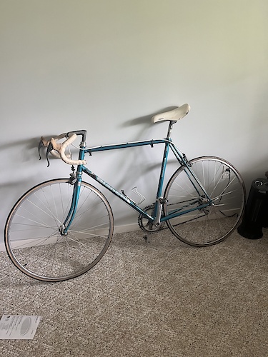 bianchi bicycle for sale pakistan Results for 