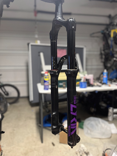 Results for 
