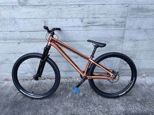 Specialized P3 フレーム P.3 Frameset