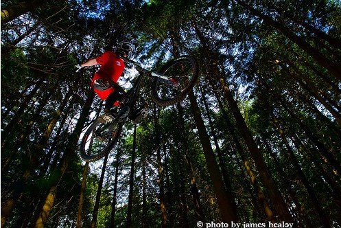 Why mountain biking is the best sport and why it is for Everyone by