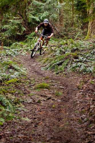 Slicing singletrack is the bike's forte