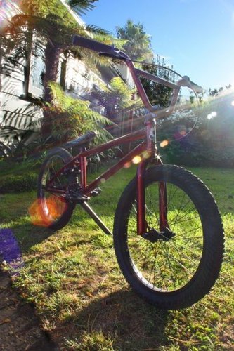 forgotten bmx