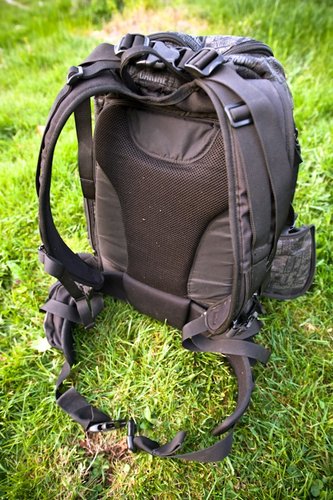 Sequence's ample back padding