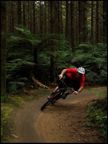 James pinning thru some single track in the whakawerawera forest.
pic courtesy of tim woolford.