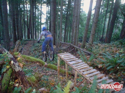 7 Foot drop. More pics and vids at www.ladysmithryders.tk and http://vpfree.pinkbike.com/bb/viewtopic.php?p=6759413