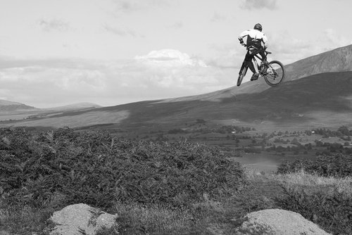 Adam Brayton