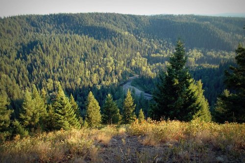 Quesnel BC XC Riding Pinkbike