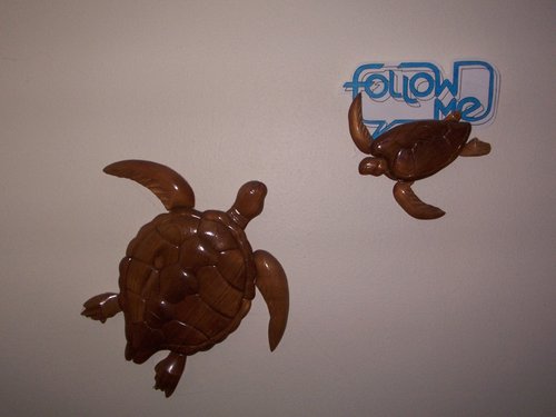 Follow Me turtle

I didnt have any ink in the printer so I had to trace my logo and color it in. That was fun.