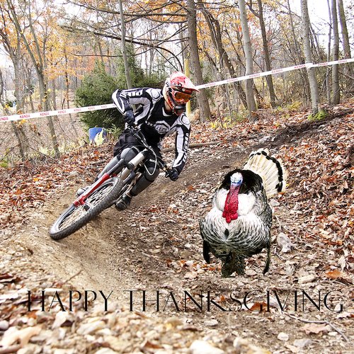 Happy Thanksgiving everyone.   

Your friend Photomom
(and the Nema Turkey)