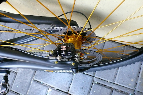 gold bicycle spokes