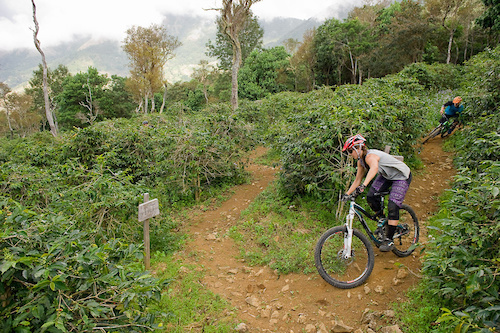 Seb Kemp and Katie Holden ride their bikes on trails near Blue Mountain in Jamaica at the Jamaica Fat Tyre Festival. This was part of the memorial ride for trail builder Ken Klowak who was killed last year in Mexico.