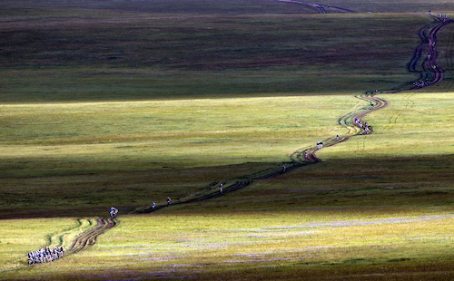 Tsagan Sum 20/08/2010
Mongolia Bike Challenge 2010
Stage 10: From Tsagan Sum to Karakorum
Photo: Carlo Borlenghi