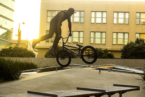 terrance tail whipping during golden hour on a building