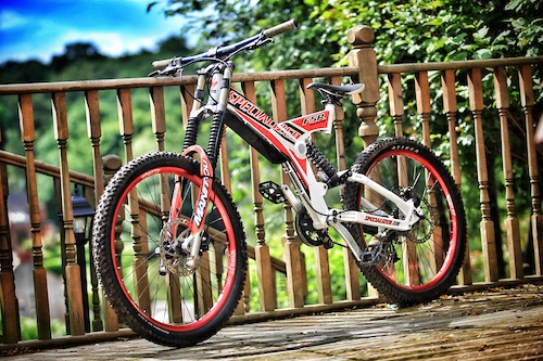 specialized fsr team dh