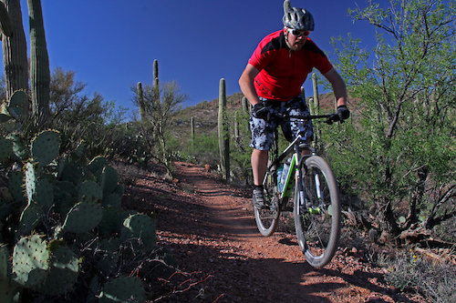 One of my favourite trails so far in Tucson.