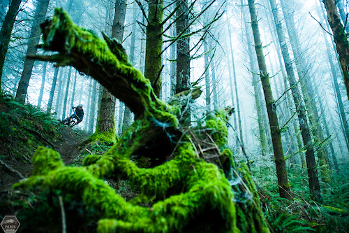 Bryn Atkinson has been training hard on the trail bike up in Seattle's misty mountains.