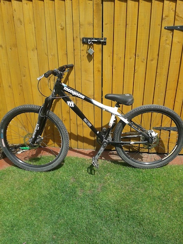 mongoose fireball 2009