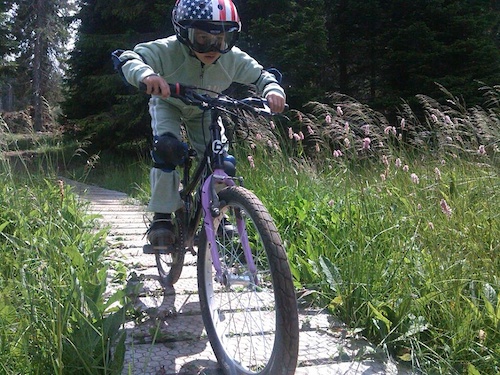 7 years old Luka in action..His first downhill experience :)