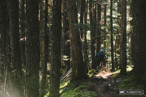 The Backdoor trail is a huge descent. It's diversity is it's greatest asset: Sub alpine start, steep rooty old school gnar, low angle flat out mossy forest shredding, and finally tipping over into more steep, rooty, forested radness. A true mountain bike trail.