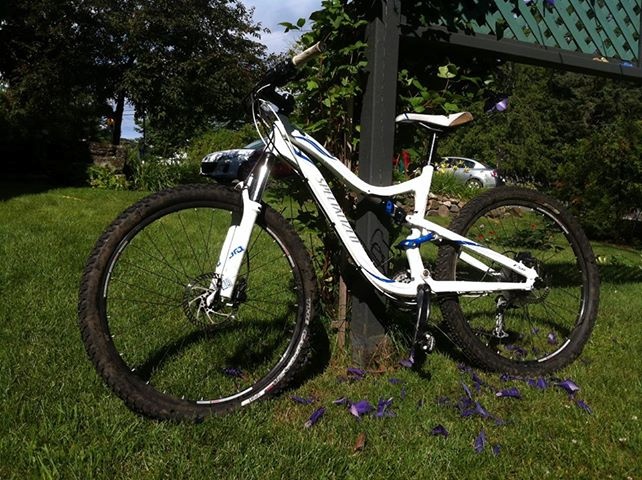 onguard bulldog dt 5012