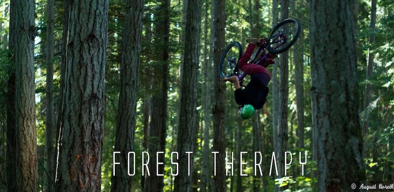 photo credits : Augie Horeth --- http://www.pinkbike.com/u/colin-grant/blog/Forest-Therapy--Isayah-Chelini-Dheensaw.html