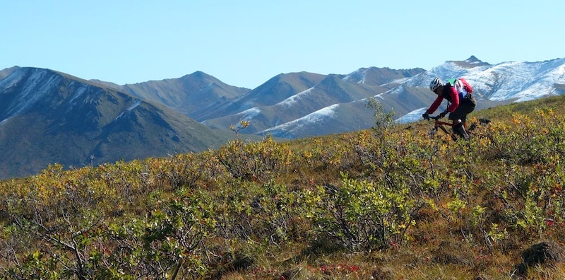 Day 2 or our trip. Surfbird Mountain looks like a good ride but we found that alpine tundra tussocks made for pretty much impossible riding conditions