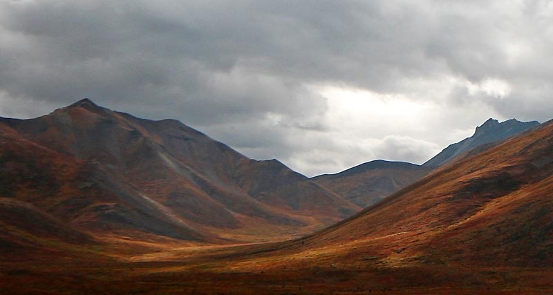 Typical Dempster Northern Yukon fall colours.  The fall reds, oranges, yellows went from faint to startling in the week we spent on the Dempster Highway.  

This was taken on our way back heading south from the Artic Circle to Dawson City.