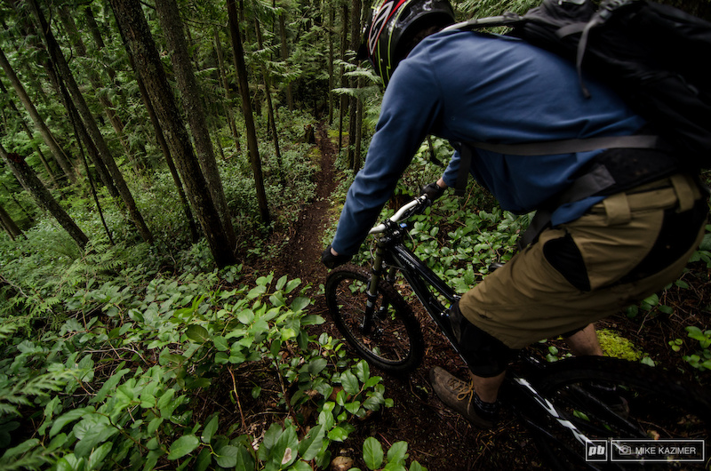 Full Pull Mountain Biking Trail - Coquitlam, BC