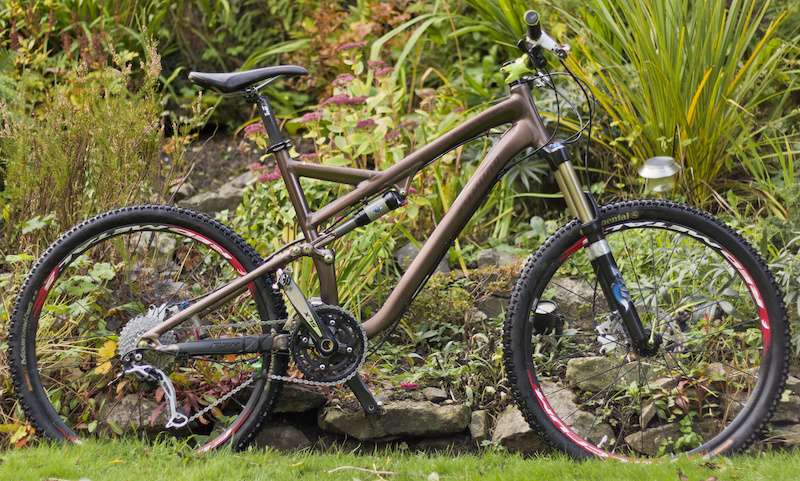 specialized stumpjumper pro 2010