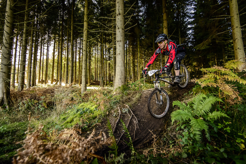 forest of dean enduro