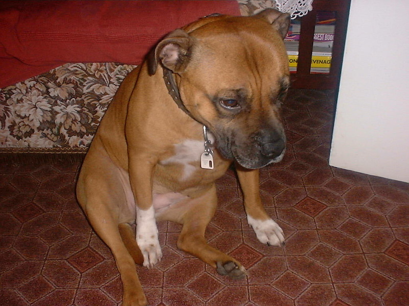 My girl
