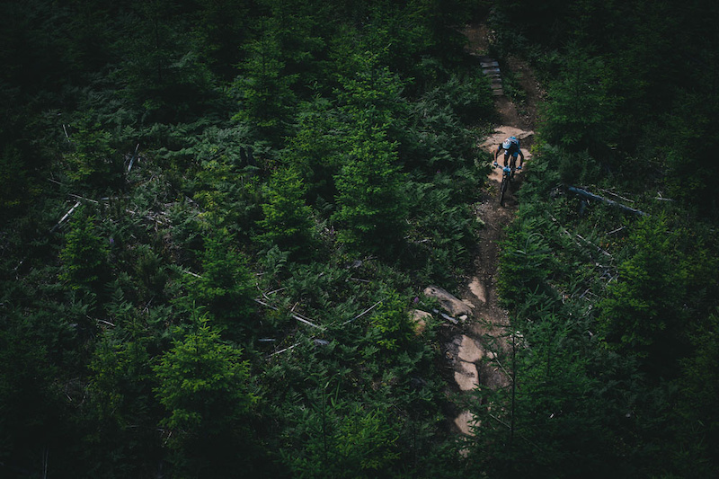 Combination ladder bridge, rock and trail, enough to keep you on your toes. photo Margus Riga