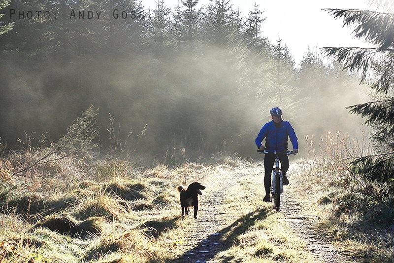 Heavy frost clears as the sun gets to work along the trails in Ireland.

My faithful dog George loves nothing better than to get out in the woods, we rescued this fella directly off the street.