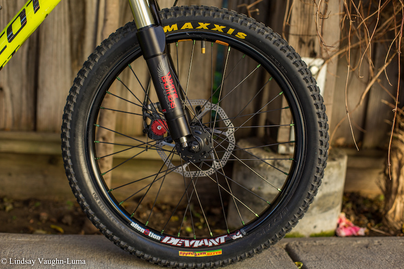 Maxxis maxxdaddy cheap