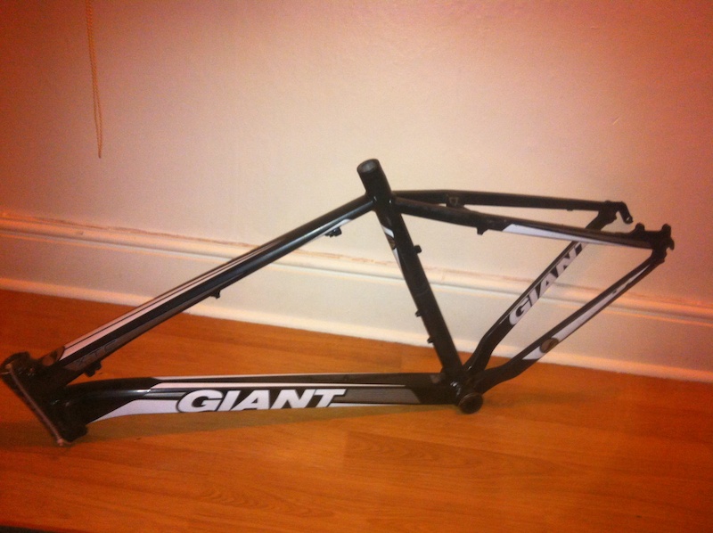 giant enduro frame