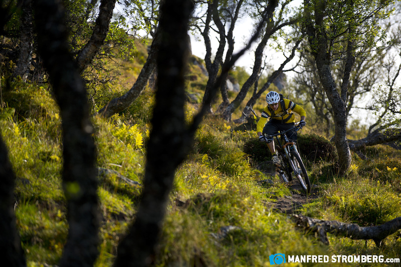 Riding on the Lofoten islands is not just steep and technical. Around the Leknes area, in the middle of the Island, are some local flow trails and manbuild DH Tracks.