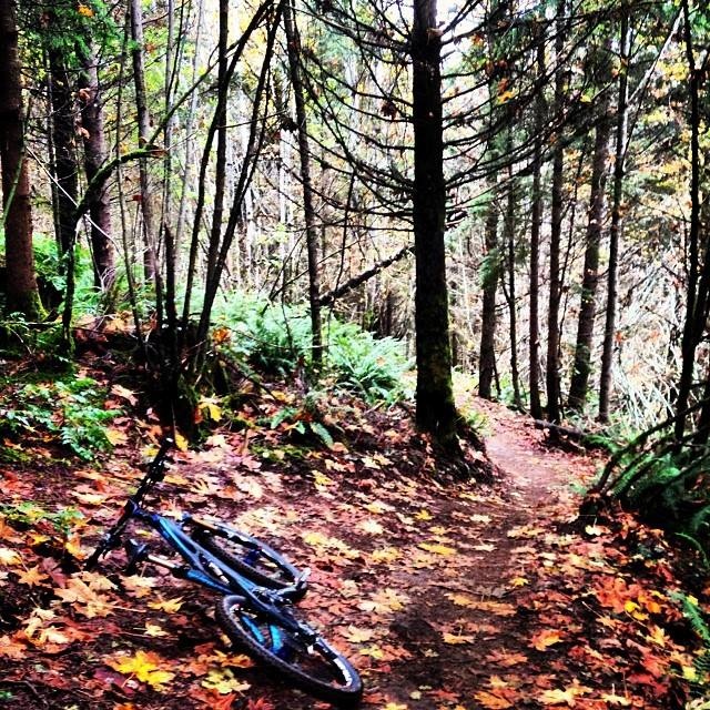 Fall at the Ridge was awesome fell riding through the falling leaves