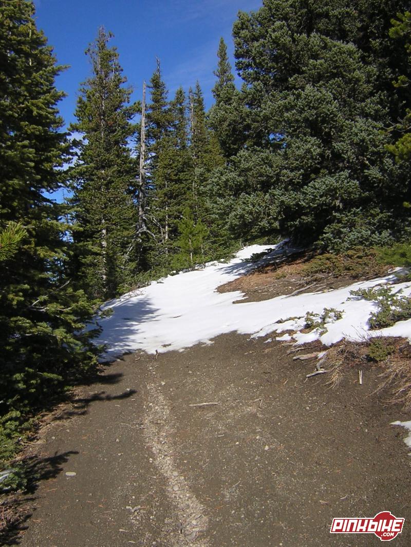 jumpingpound loop mountain bike trail