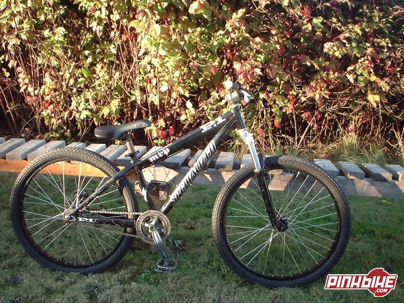 specialized p3 2003