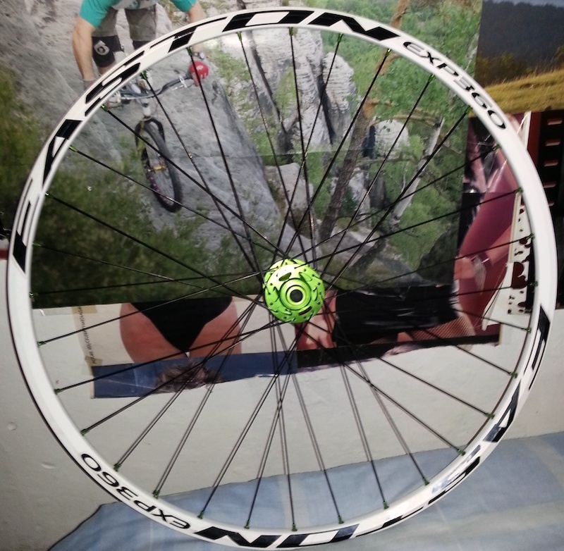 easton rim 29er