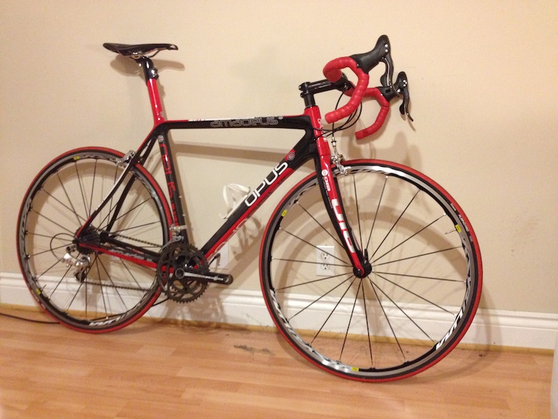 2011 OPUS AMADEUS 56cm Large For Sale